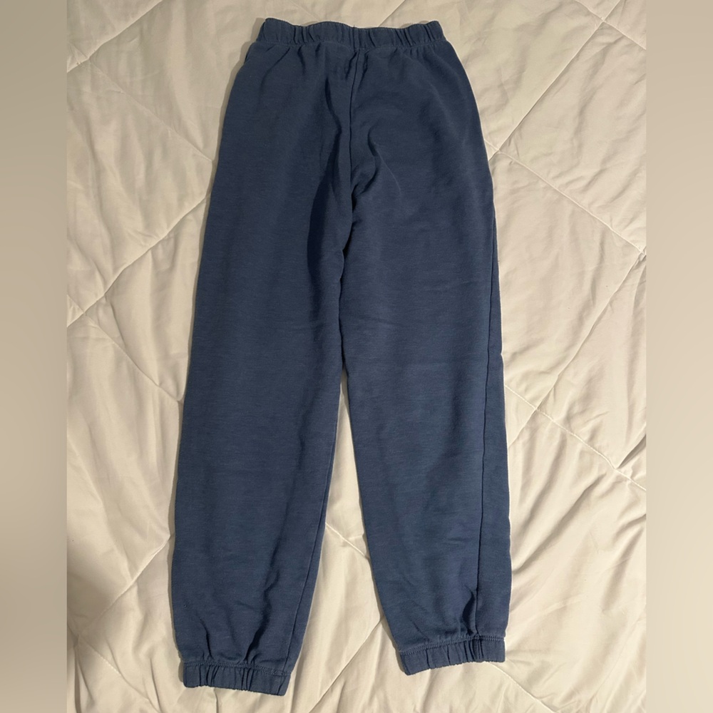American Eagle Outfitters Navy Joggers